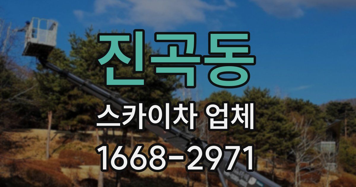 진곡동 스카이차 업체