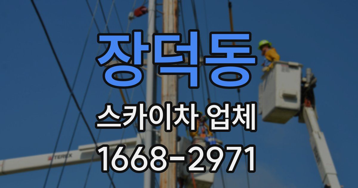 장덕동 스카이차 업체