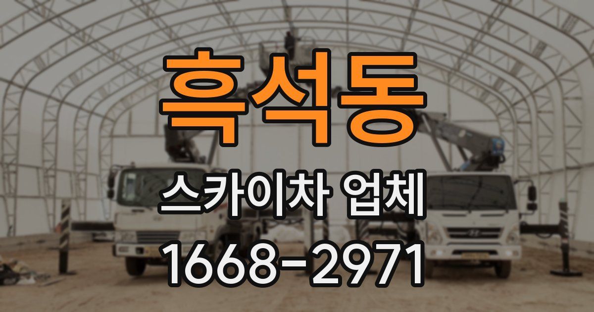 흑석동 스카이차 업체
