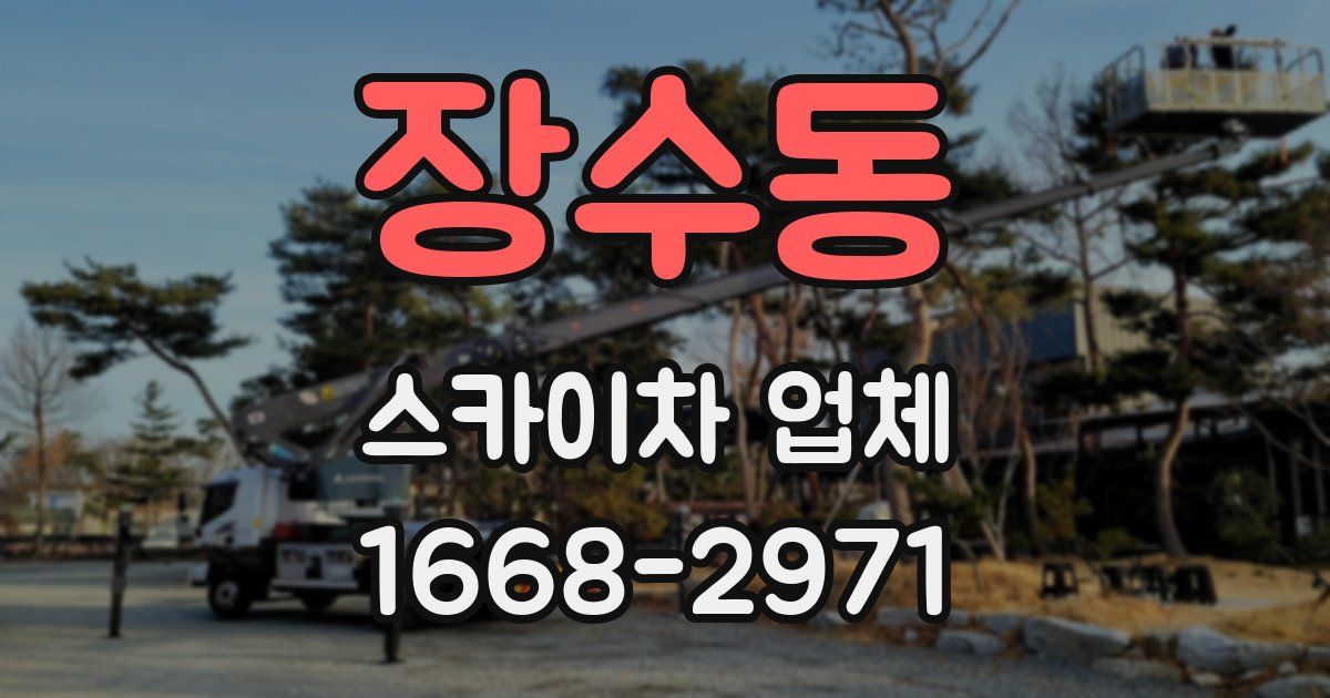 장수동 스카이차 업체