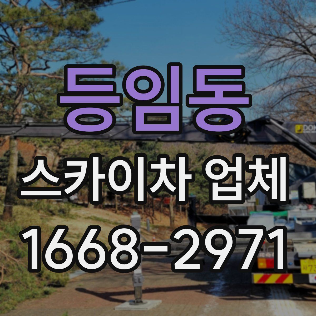 등임동 스카이차 업체