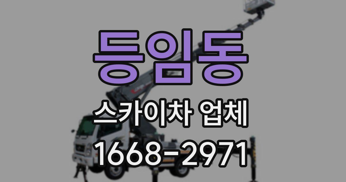 등임동 스카이차 업체