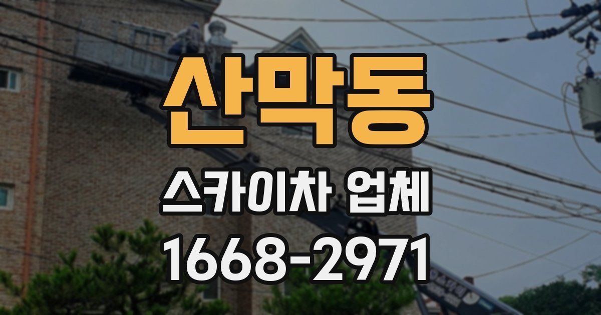 산막동 스카이차 업체