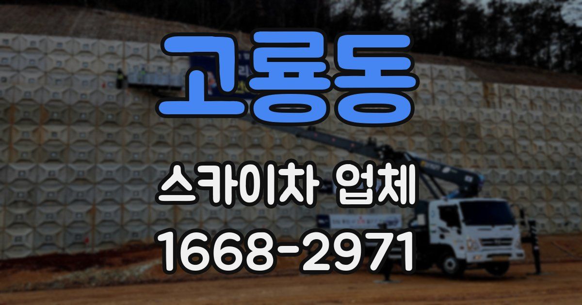 고룡동 스카이차 업체