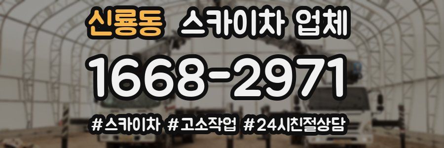 신룡동 스카이차 업체