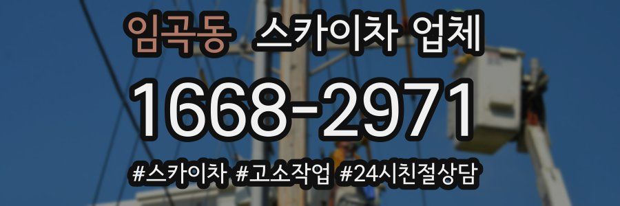 임곡동 스카이차 업체