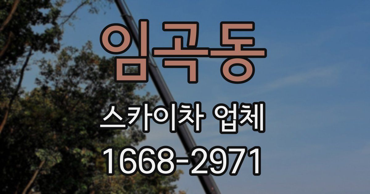 임곡동 스카이차 업체