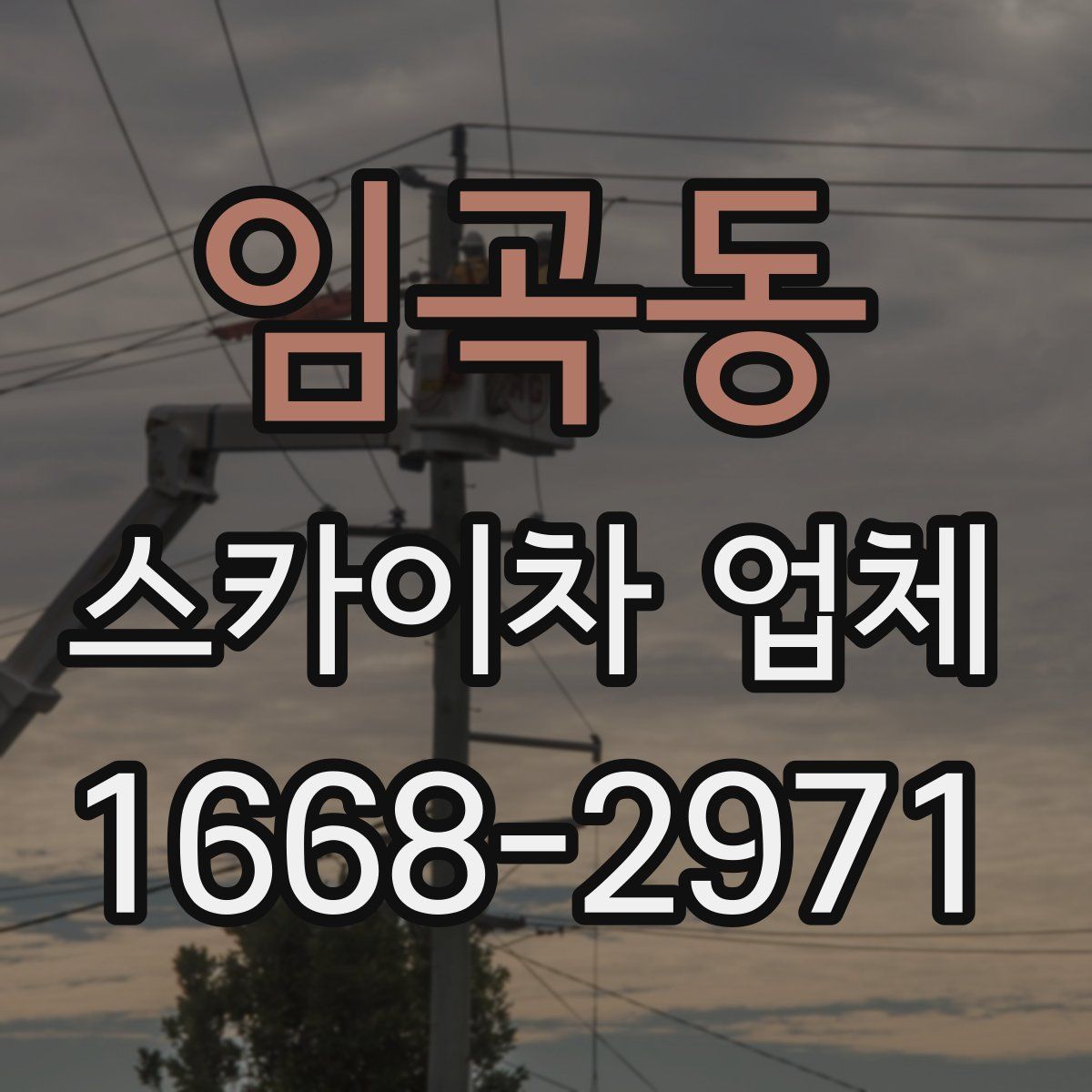 임곡동 스카이차 업체