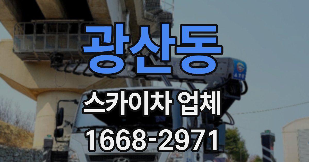 광산동 스카이차 업체