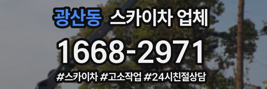 광산동 스카이차 업체