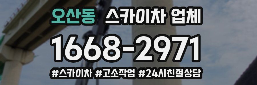 오산동 스카이차 업체