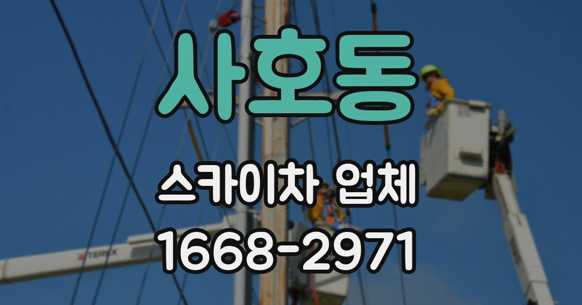 사호동 스카이차 업체
