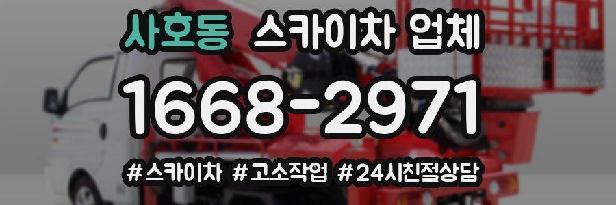 사호동 스카이차 업체