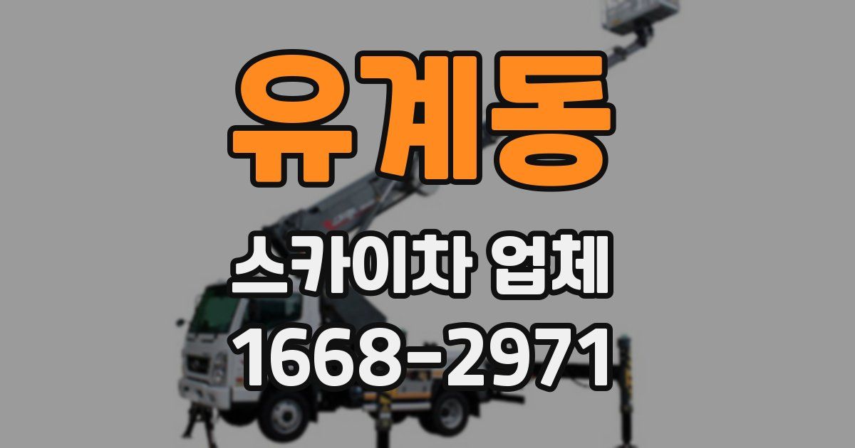 유계동 스카이차 업체