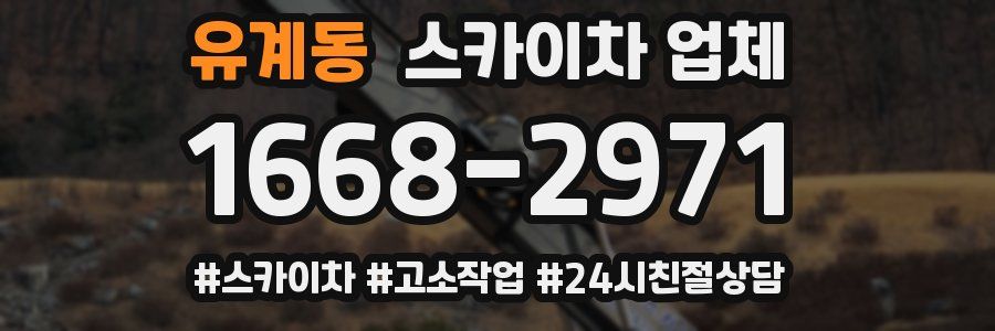유계동 스카이차 업체