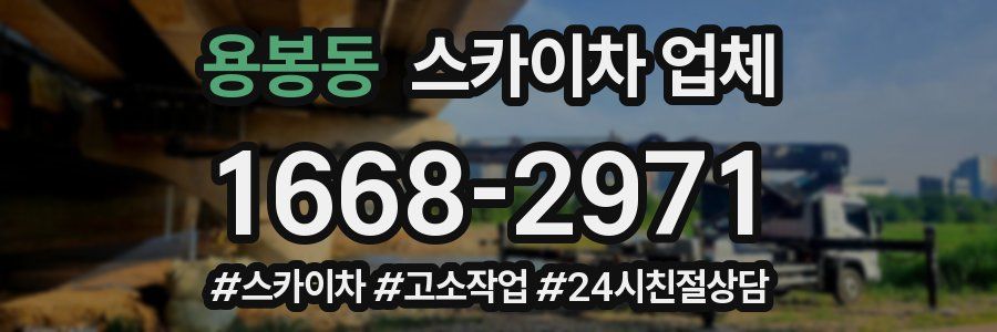 용봉동 스카이차 업체