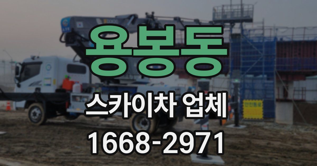 용봉동 스카이차 업체