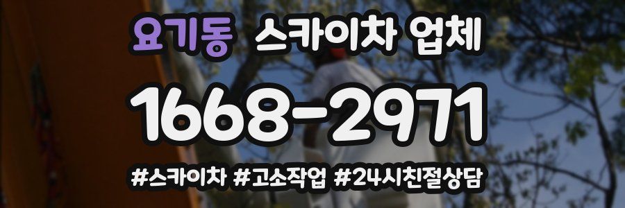 요기동 스카이차 업체
