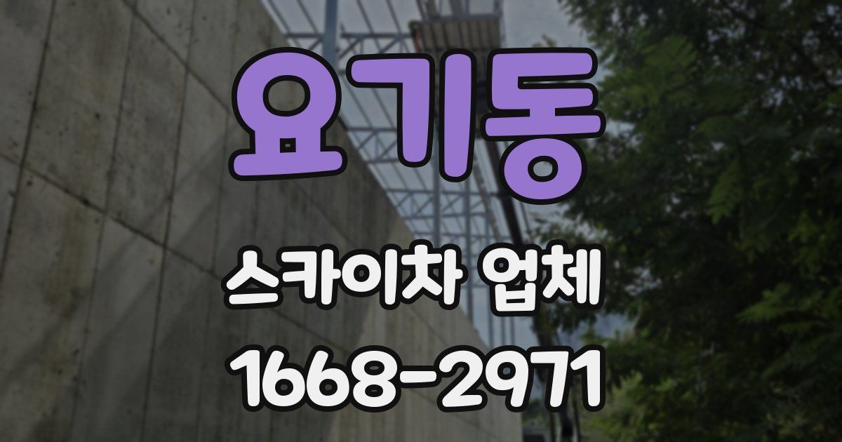 요기동 스카이차 업체