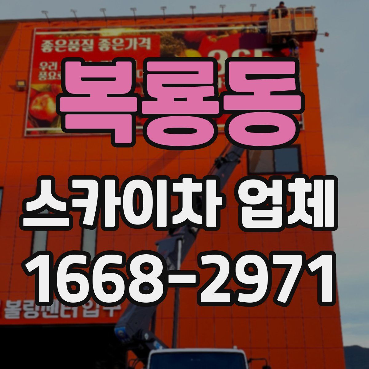 복룡동 스카이차 업체