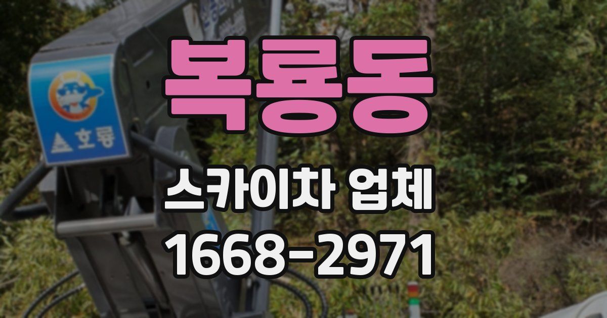 복룡동 스카이차 업체