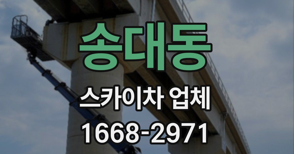 송대동 스카이차 업체