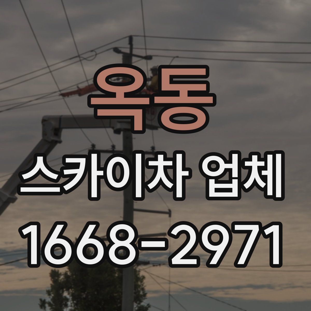 옥동 스카이차 업체