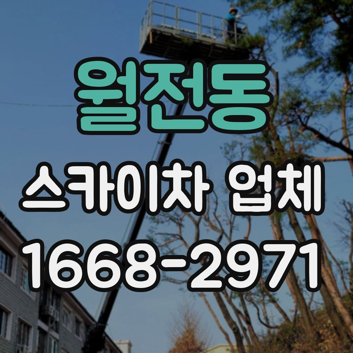 월전동 스카이차 업체