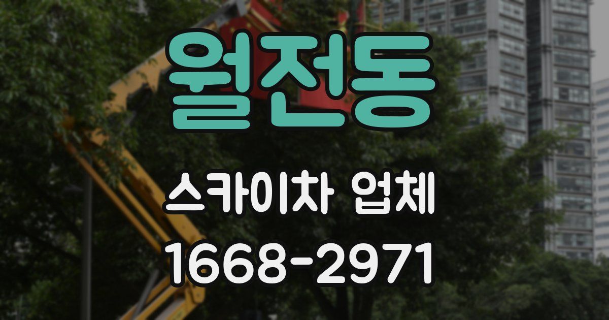월전동 스카이차 업체