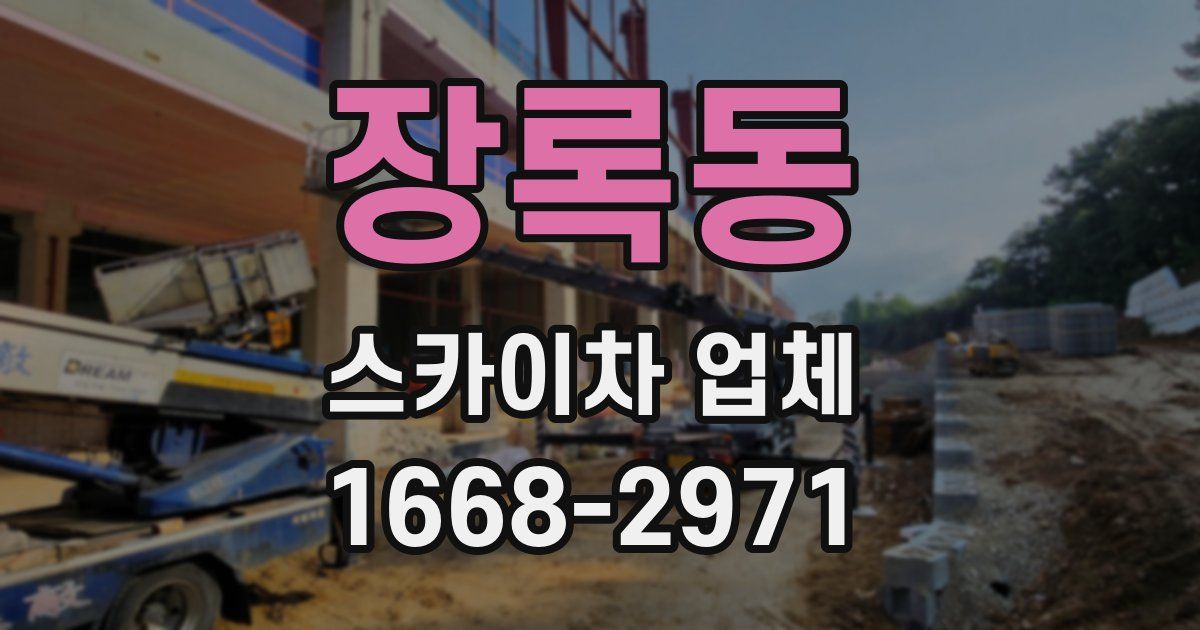 장록동 스카이차 업체