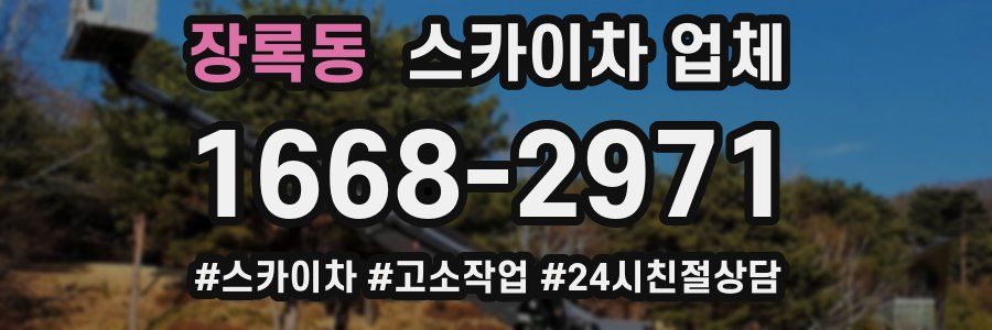 장록동 스카이차 업체