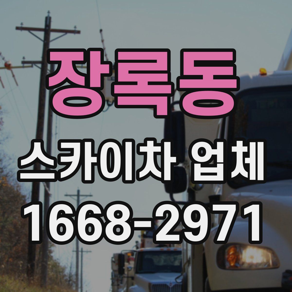 장록동 스카이차 업체