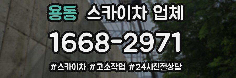 용동 스카이차 업체