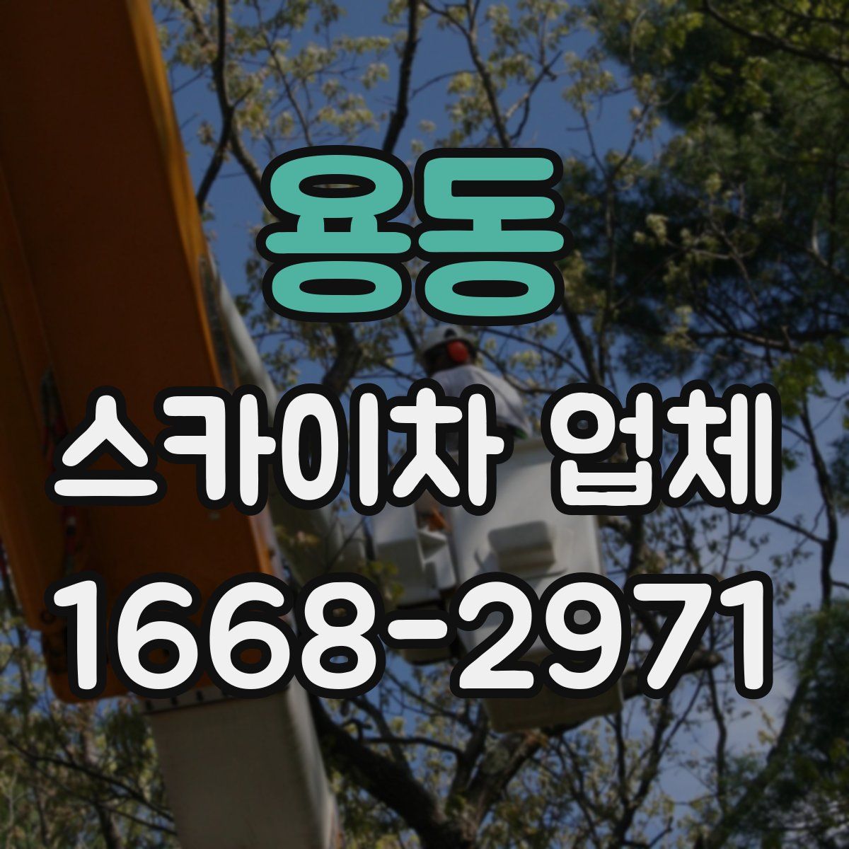 용동 스카이차 업체