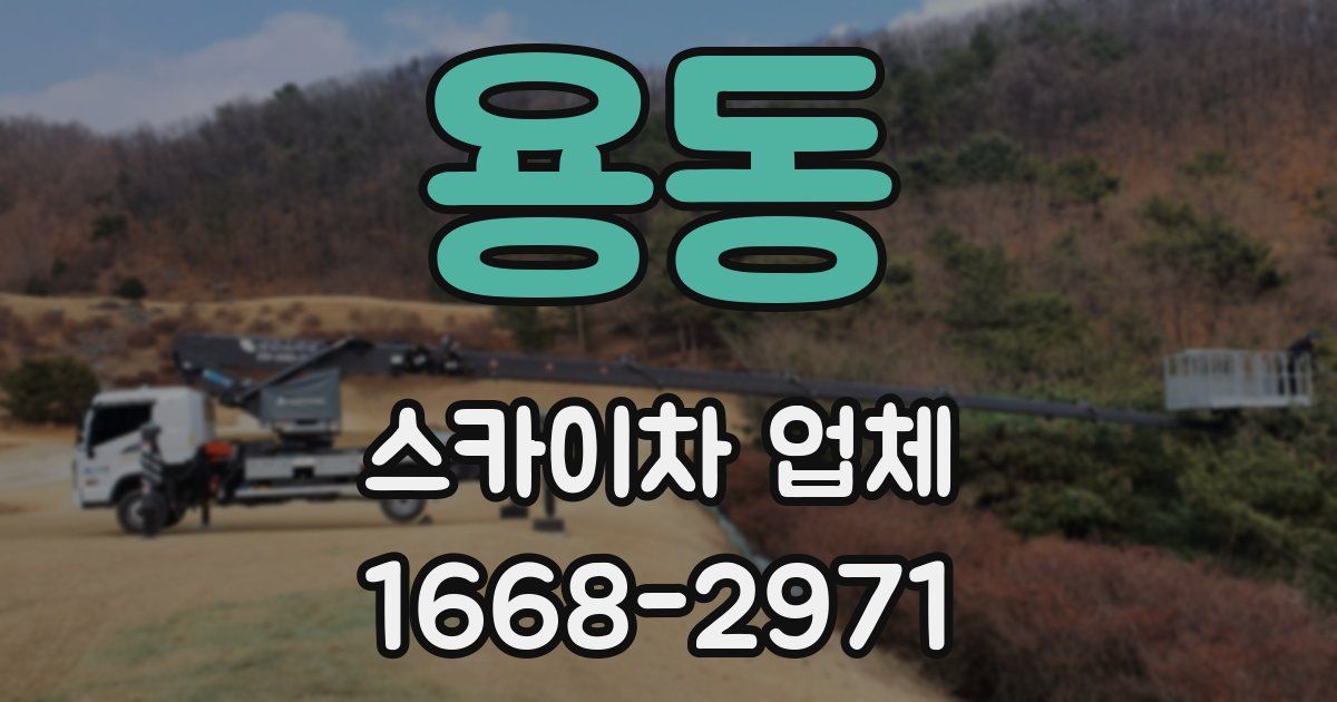 용동 스카이차 업체