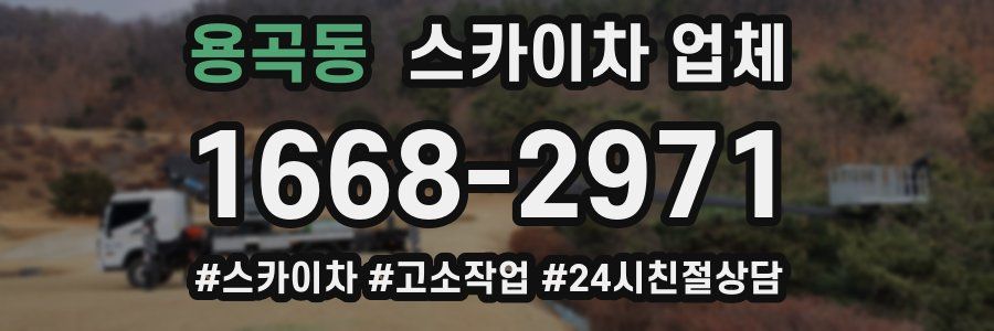 용곡동 스카이차 업체