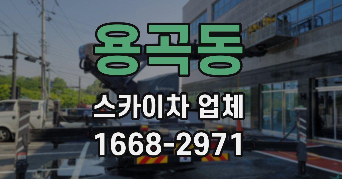 용곡동 스카이차 업체