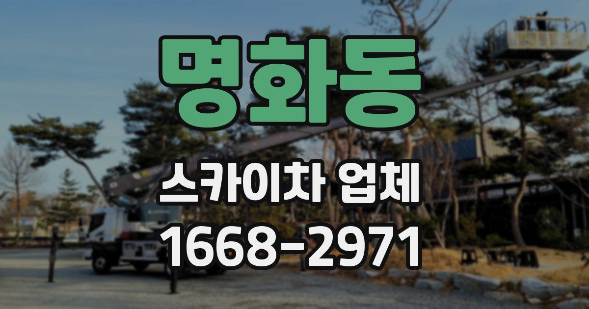명화동 스카이차 업체
