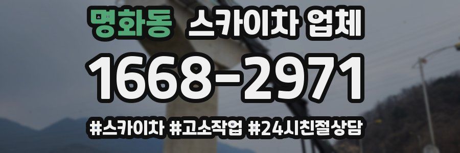 명화동 스카이차 업체