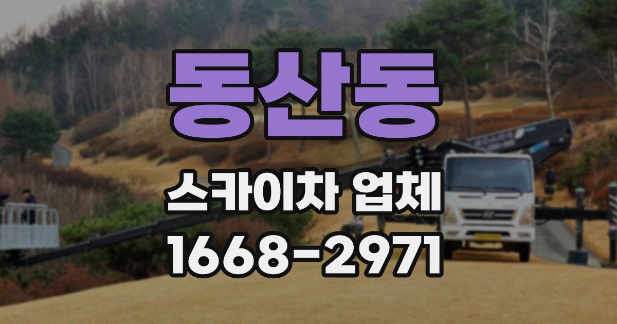 동산동 스카이차 업체