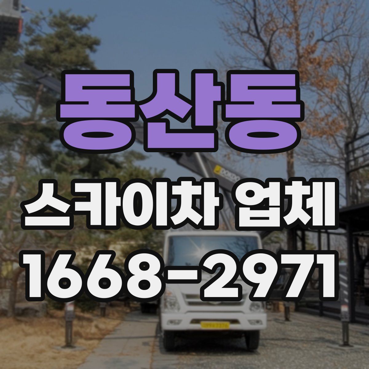 동산동 스카이차 업체