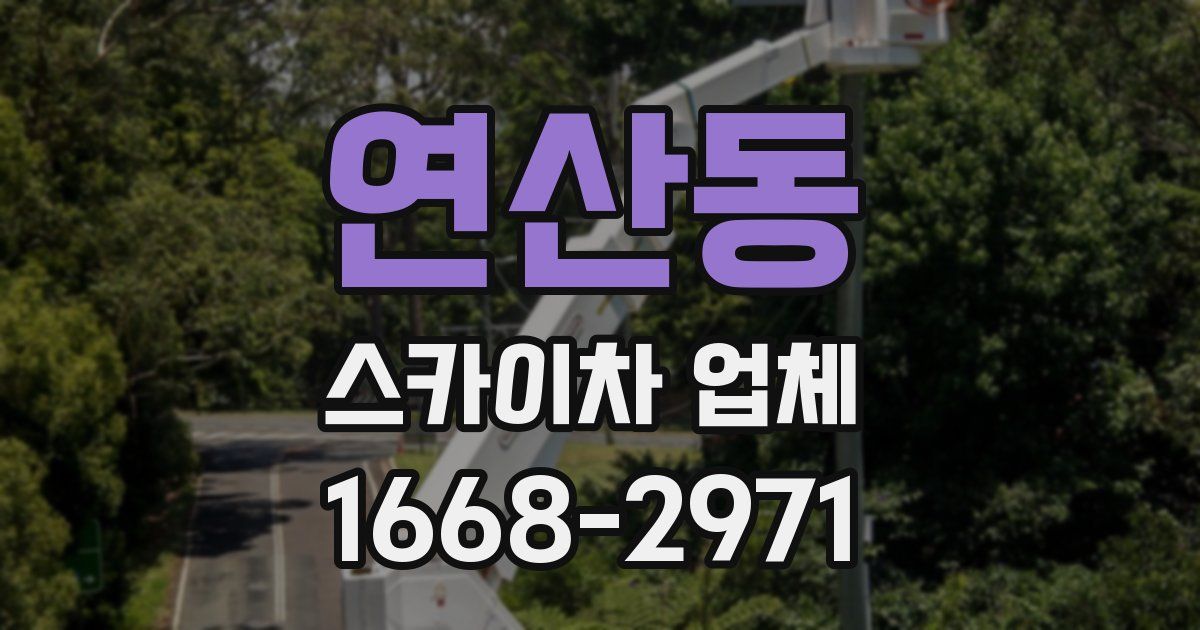 연산동 스카이차 업체