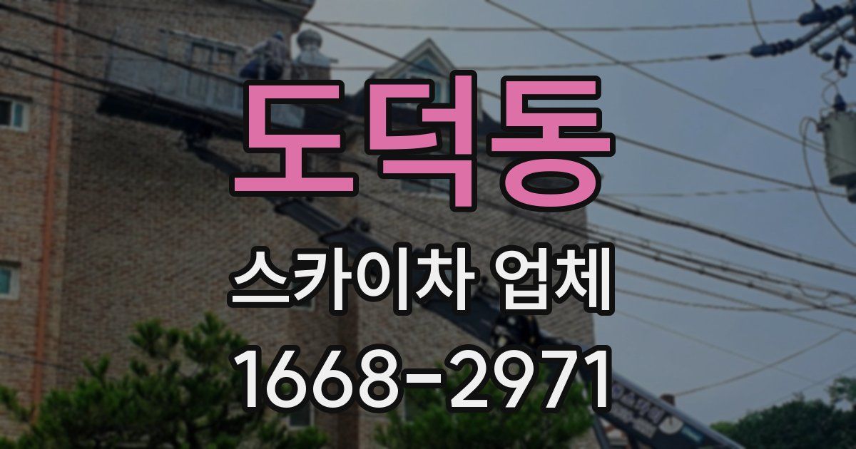 도덕동 스카이차 업체