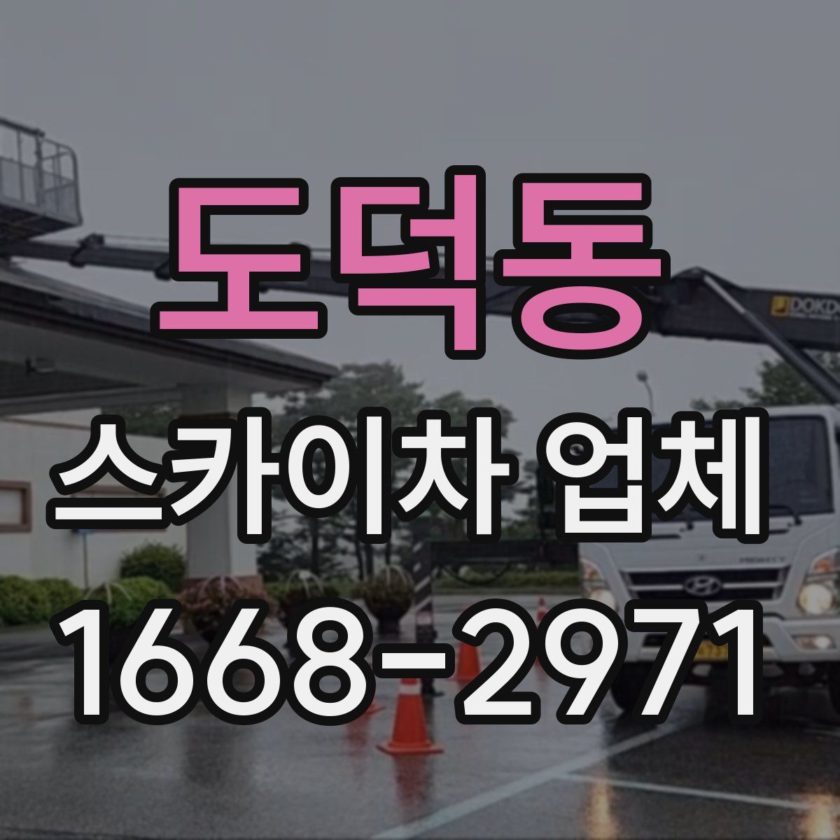 도덕동 스카이차 업체