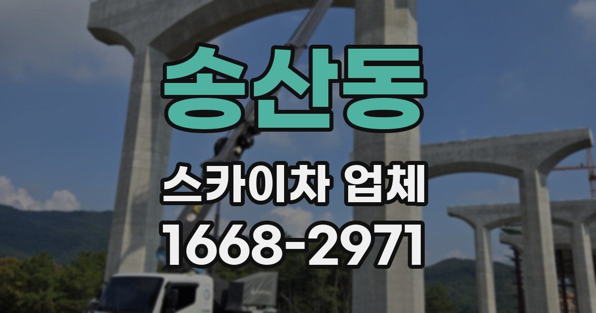 송산동 스카이차 업체