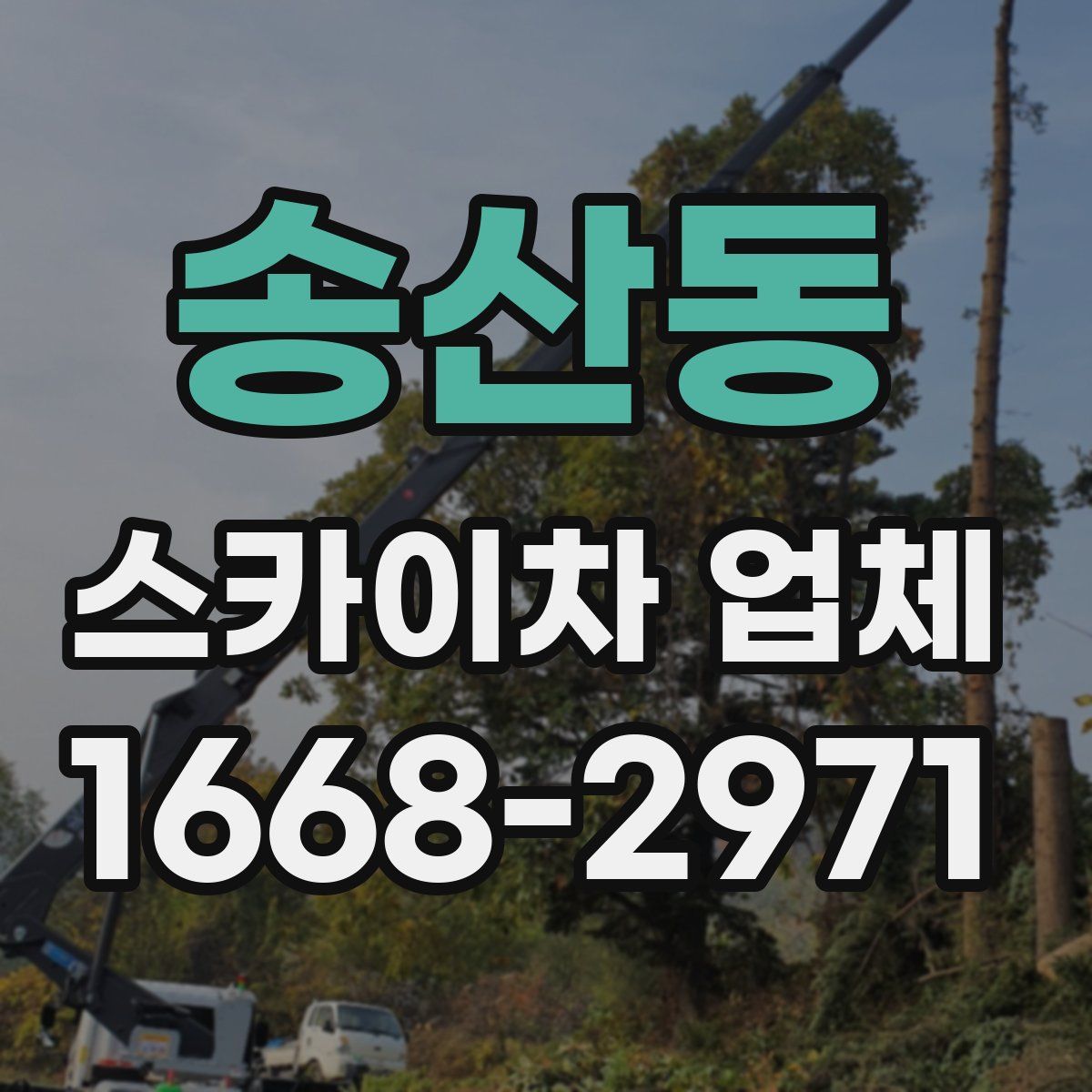 송산동 스카이차 업체