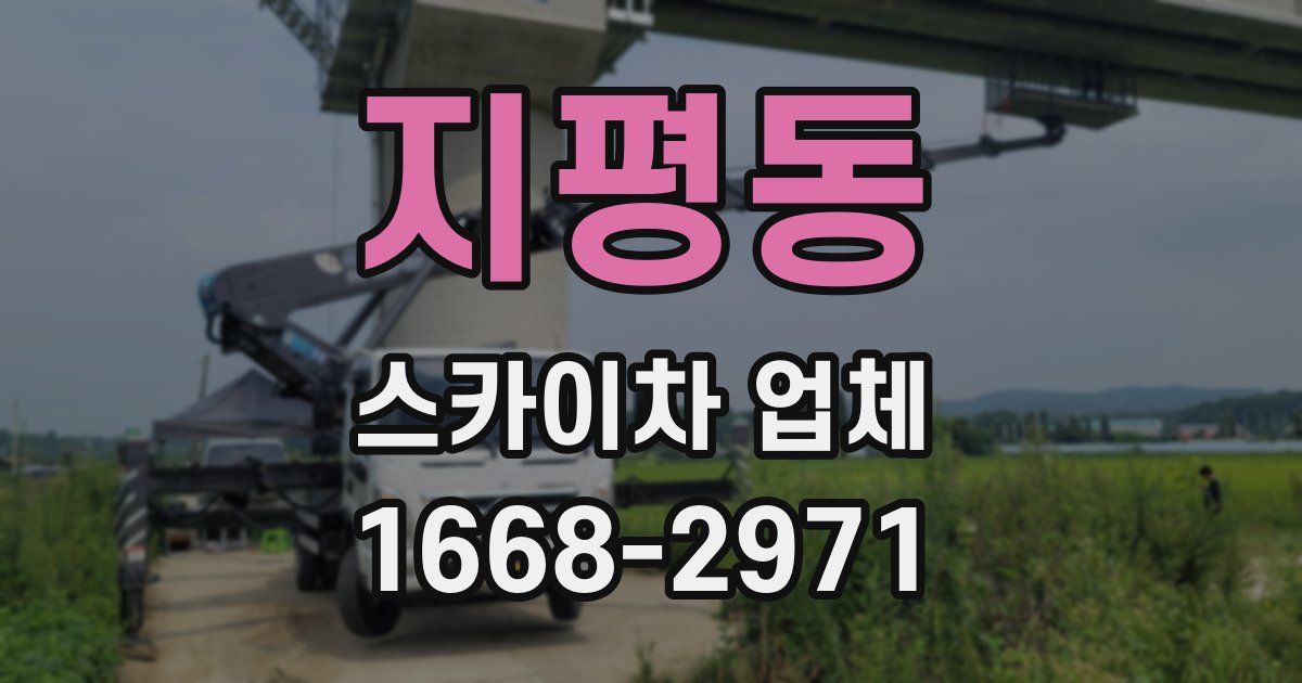 지평동 스카이차 업체