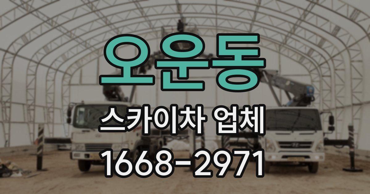 오운동 스카이차 업체