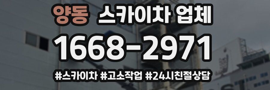 양동 스카이차 업체