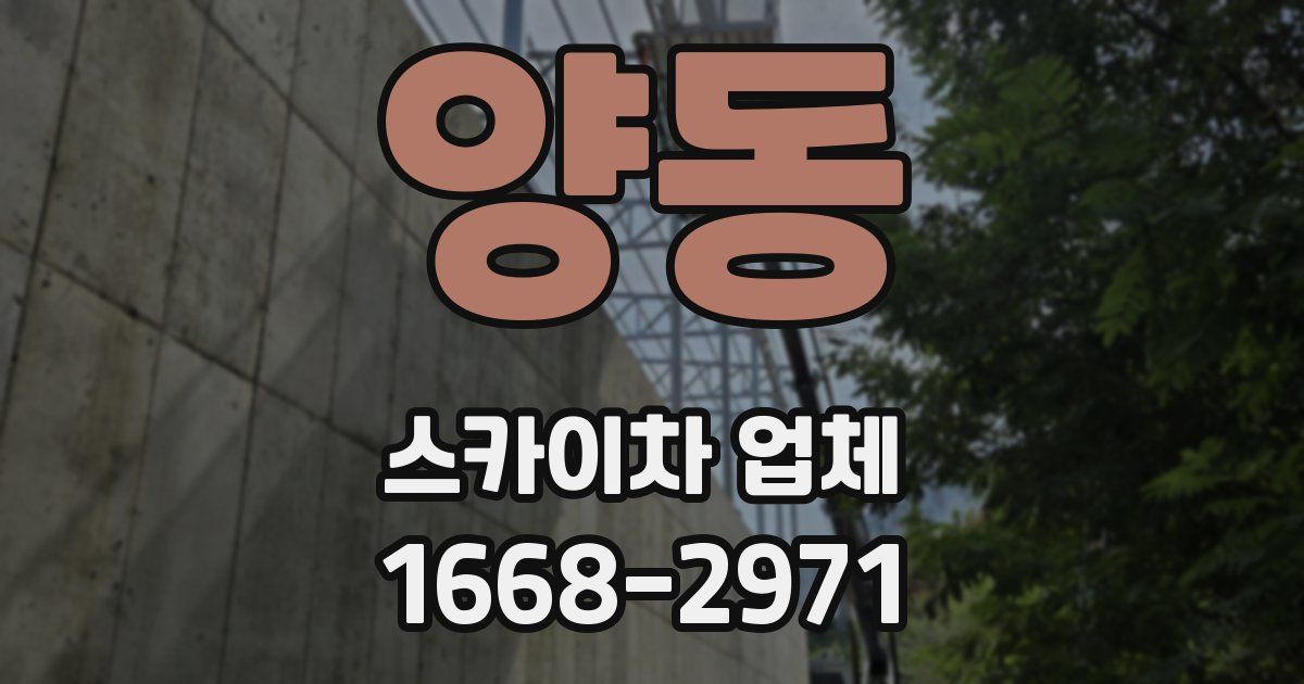 양동 스카이차 업체